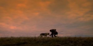 Alpha: Kodi Smit-McPee e un lupo protagonisti del nuovo trailer