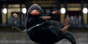 Animali Fantastici – I Crimini di Grindelwald: David Heyman ci rivela quanti animali vedremo nel film