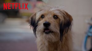 Benji: ecco il primo trailer del nuovo film targato Netflix diretto da Brandon Camp