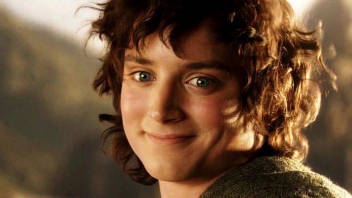Elijah Wood, Frodo