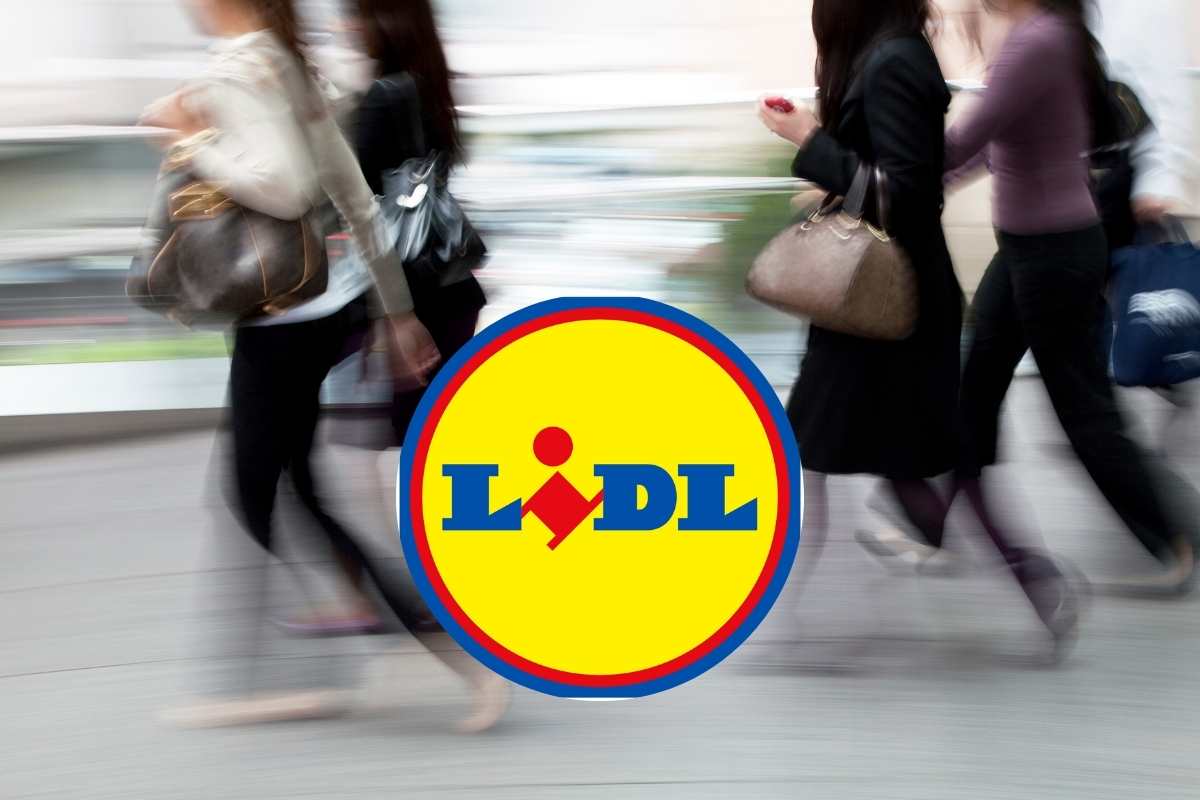 Lidl offerte attive